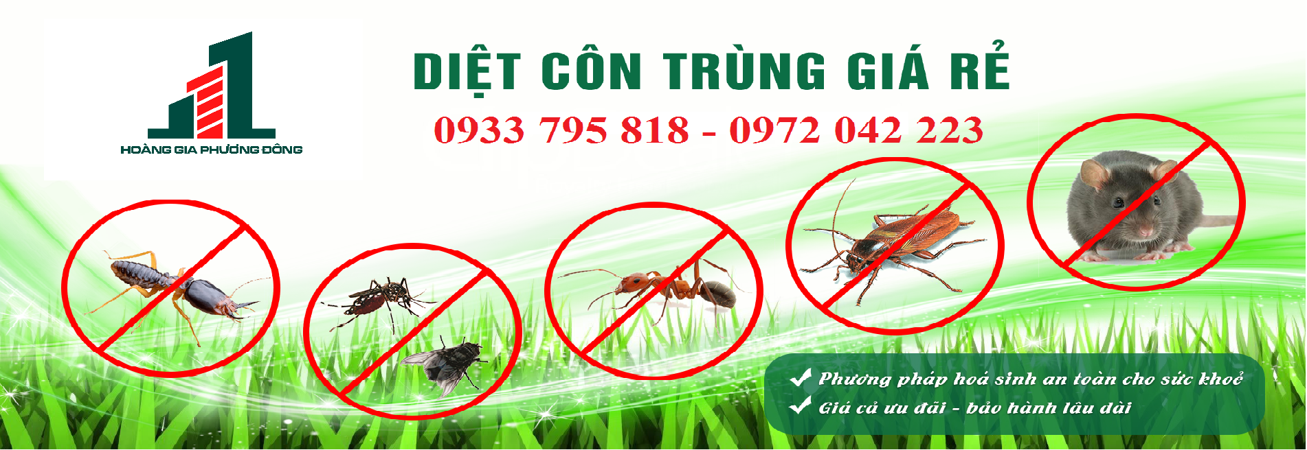 Banner NP1_-11-05-2022-08-30-14.png